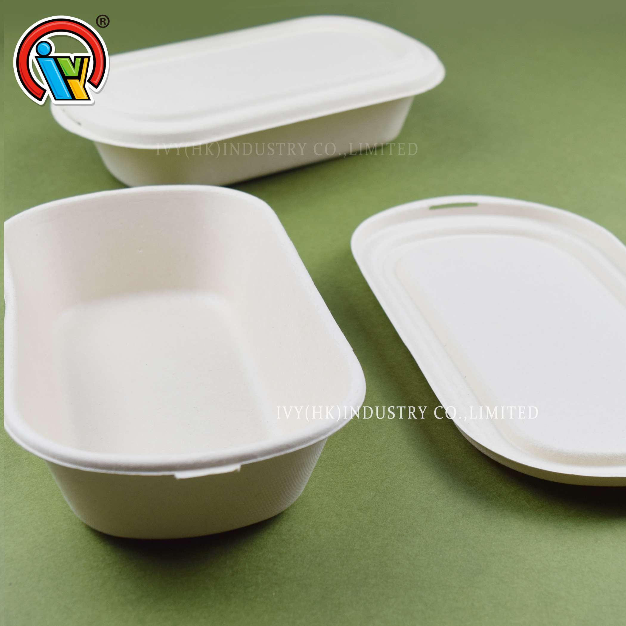 Eco friendly biodegradable lunch box