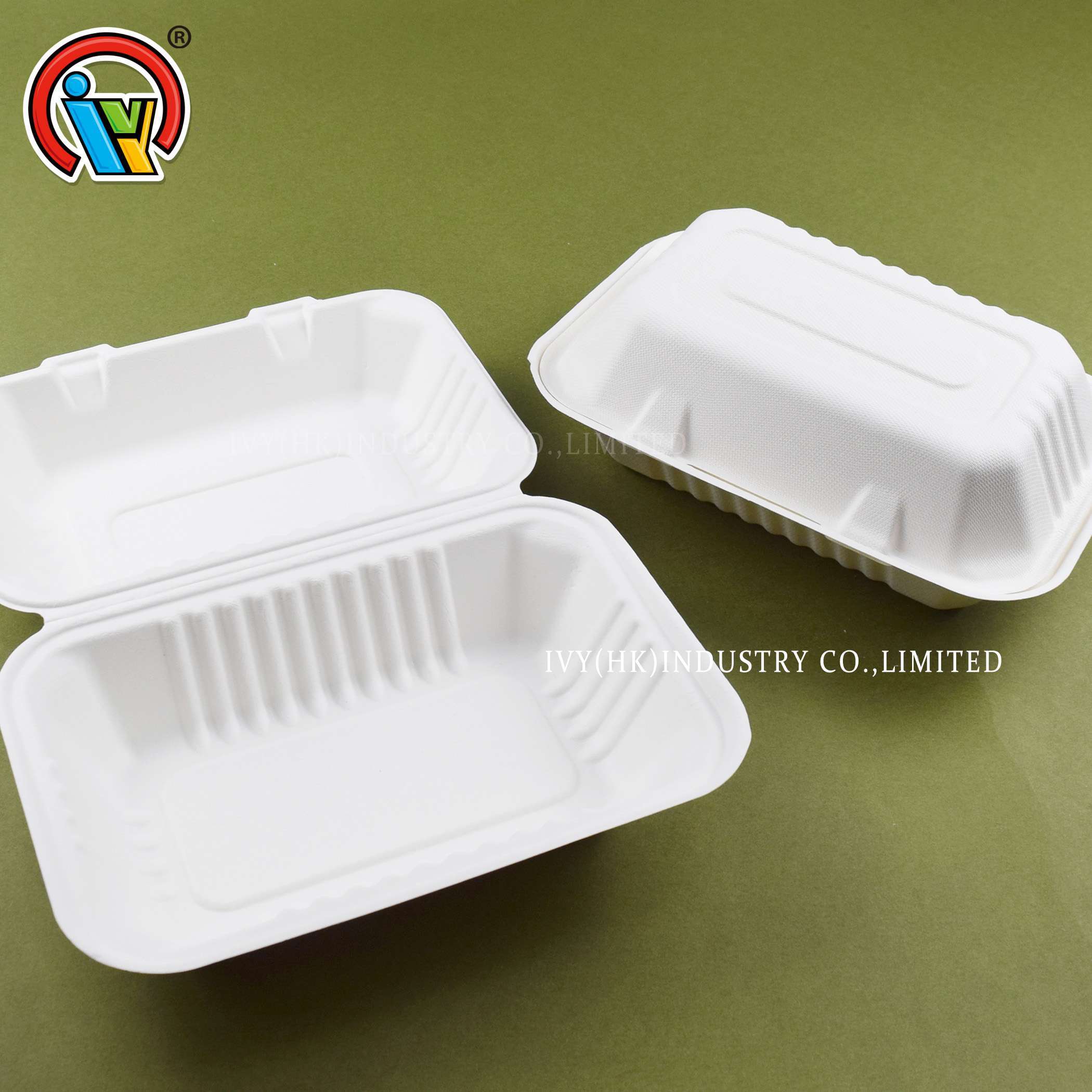 biodegradable lunch box wholesale