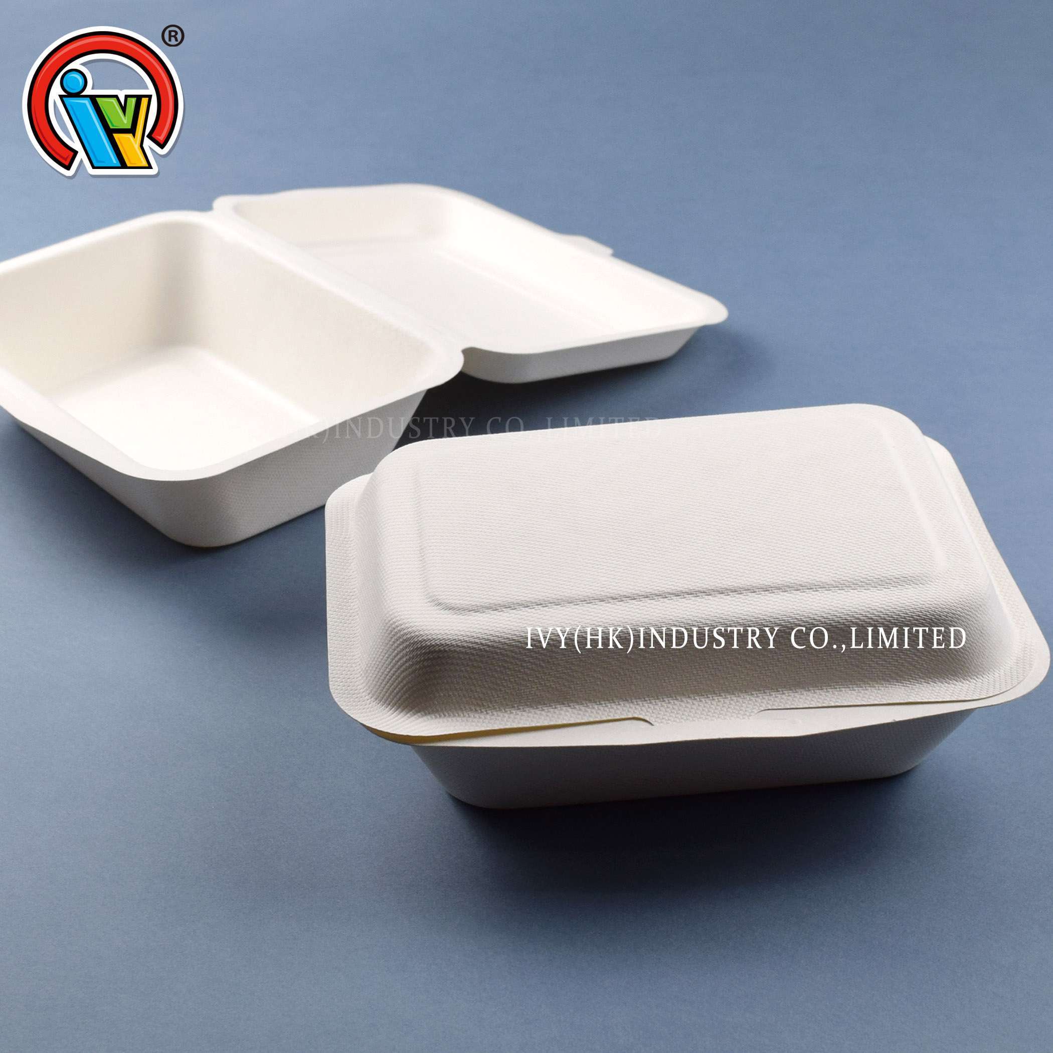 biodegradable food container lunch box supplier