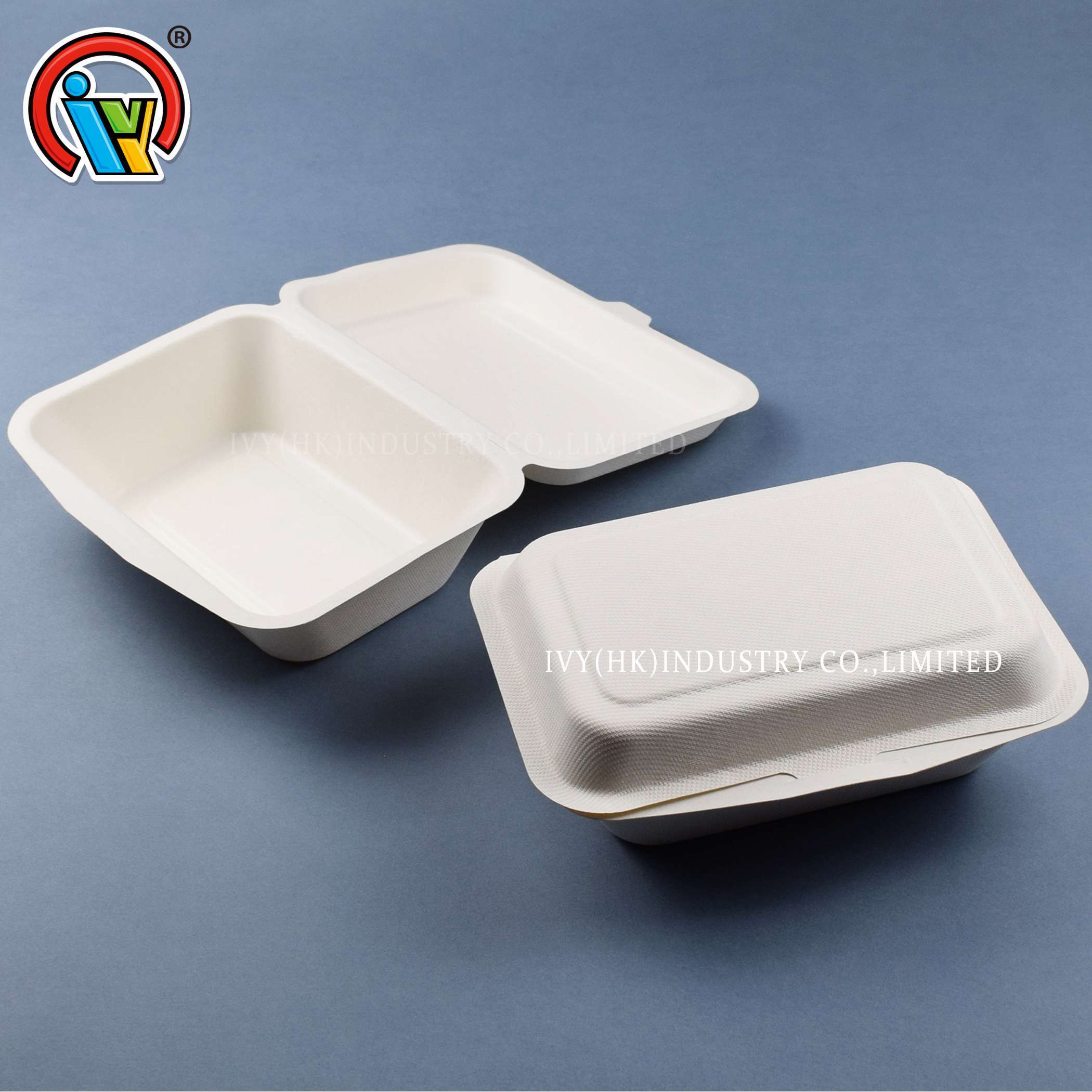 China manufacturer biodegradable bagasse pulp lunch box 