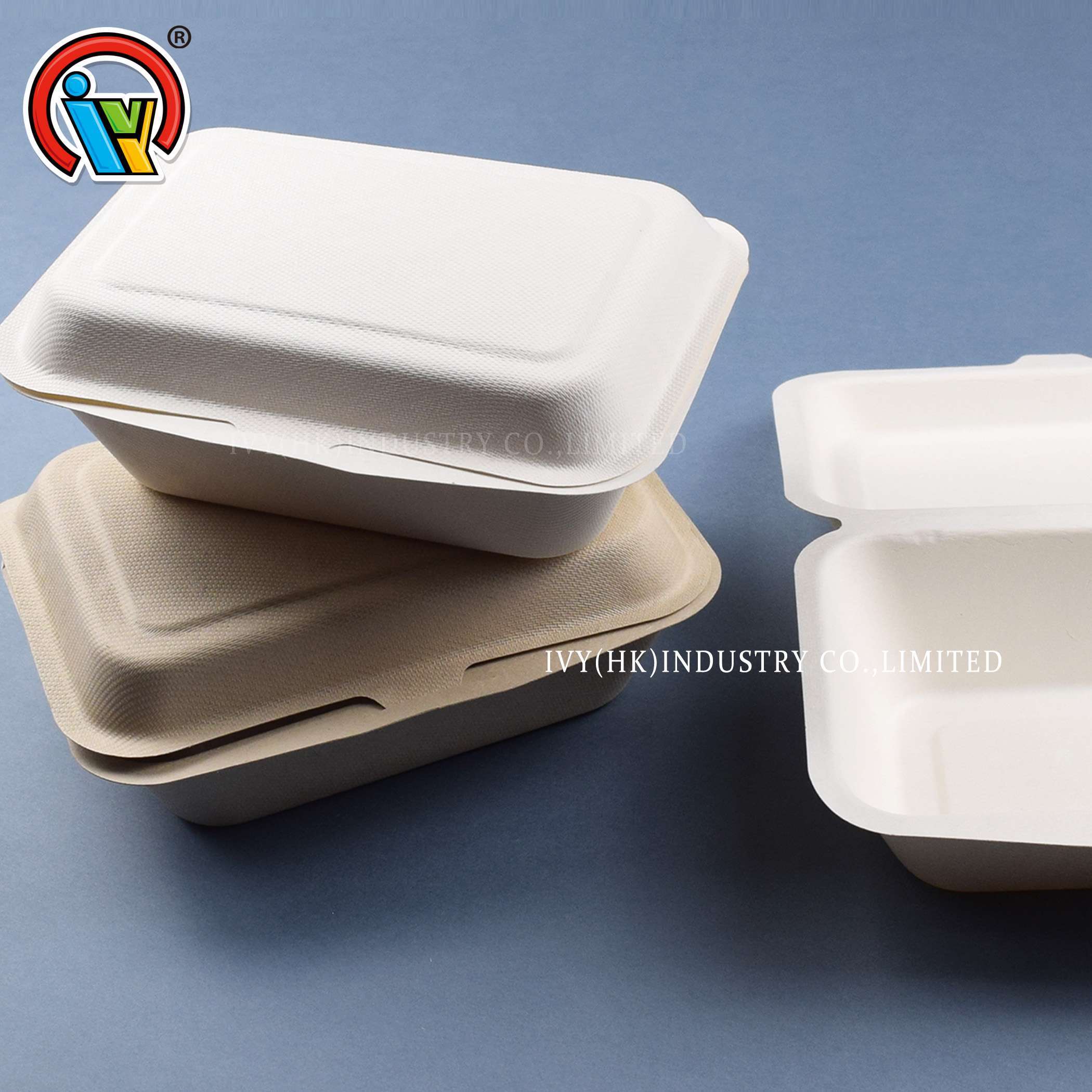 wholesale biodegradable eco friendly takeaway lunch box
