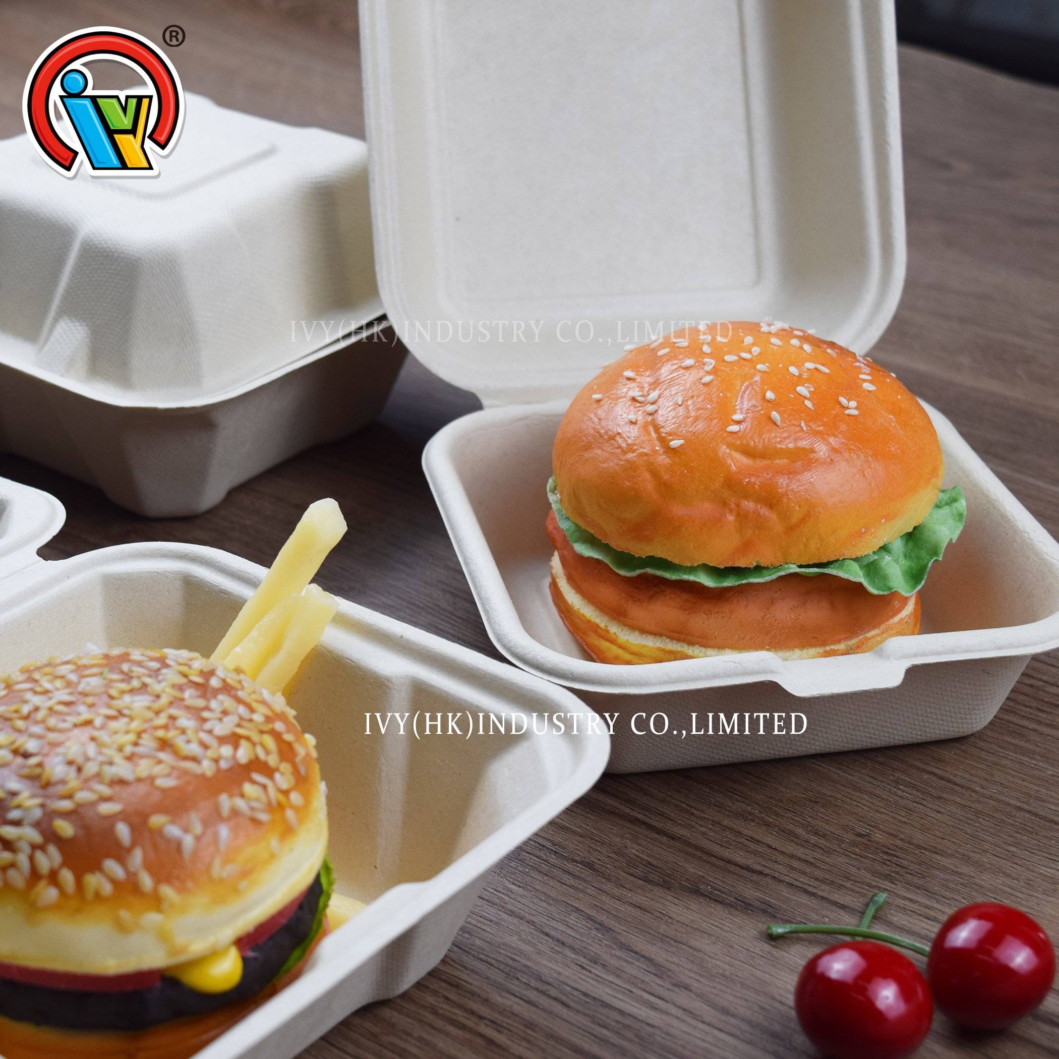 eco friendly biodegradable buger box