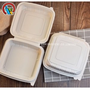 Biodegradable disposable lunch box