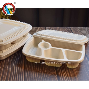 Disposable biodegradable salad lunch box