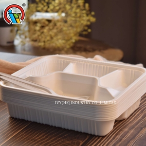 Biodegradable four-compartment lunch box