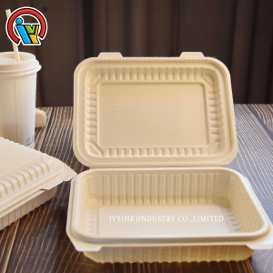 Biodegradable single-compartment covered lunch box