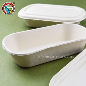 Eco friendly biodegradable lunch box