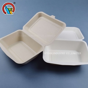 Biodegradable bagasse pulp lunch box