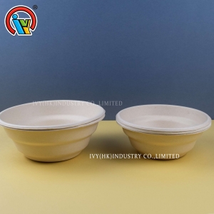 24 oz/32oz biodegradable food bowls/salad bowls