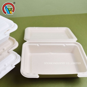 Biodegradable disposable lunch box
