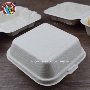 Eco friendly biodegradable burger box