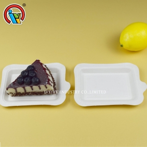 100% Biodegradable food container cake plates